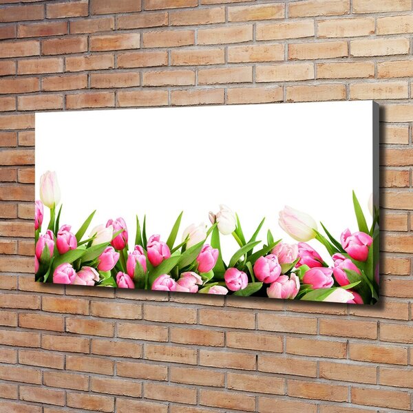 Foto obraz canvas Růžové tulipány oc-138798865