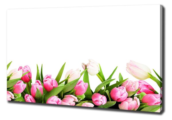 Foto obraz canvas Růžové tulipány oc-138798865