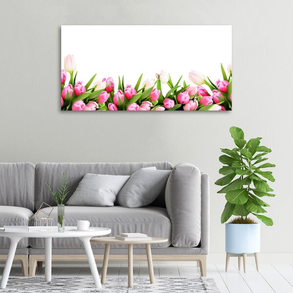 Foto obraz canvas Růžové tulipány oc-138798865