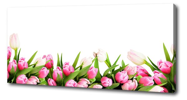 Foto obraz canvas Růžové tulipány oc-138798865