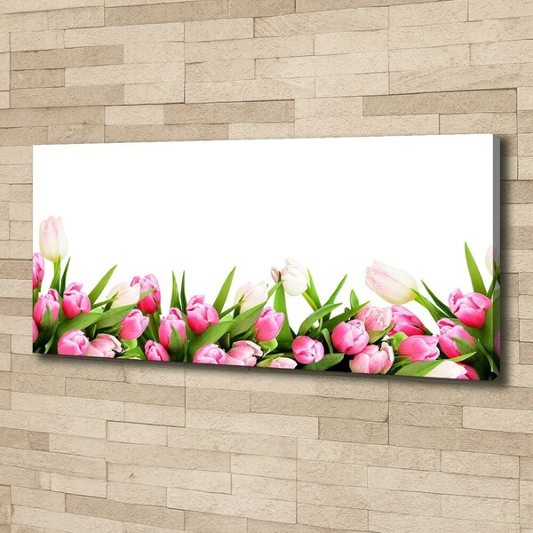 Foto obraz canvas Růžové tulipány oc-138798865