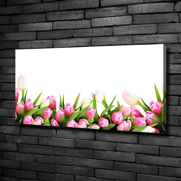 Foto obraz canvas Růžové tulipány oc-138798865