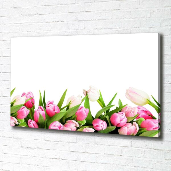 Foto obraz canvas Růžové tulipány oc-138798865