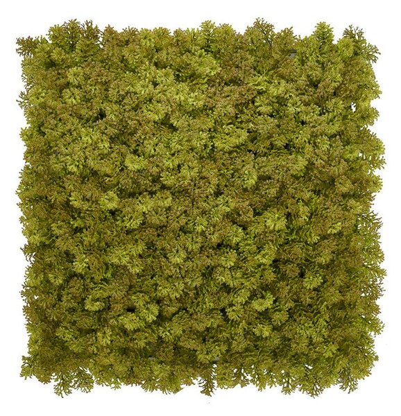 Europe Grass Umělý rostlinný panel KATE MOSS 50 x 50 cm - Panel 50x50