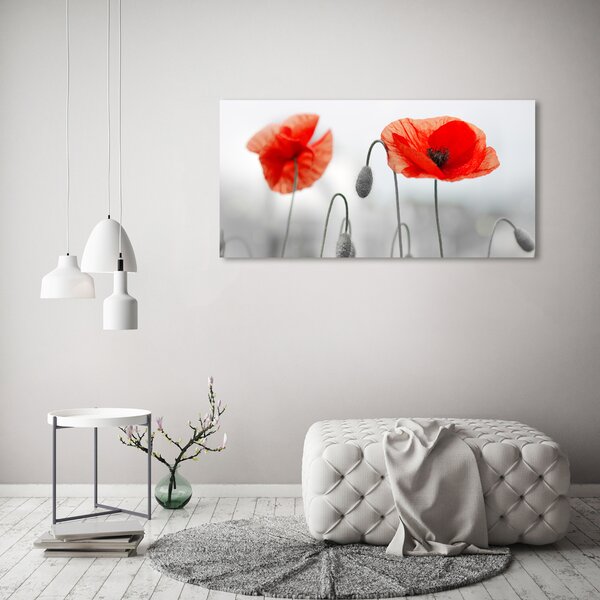 Foto obraz canvas Máky oc-142912559