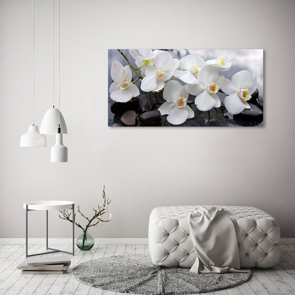 Foto obraz na plátně Orchidej oc-143985624