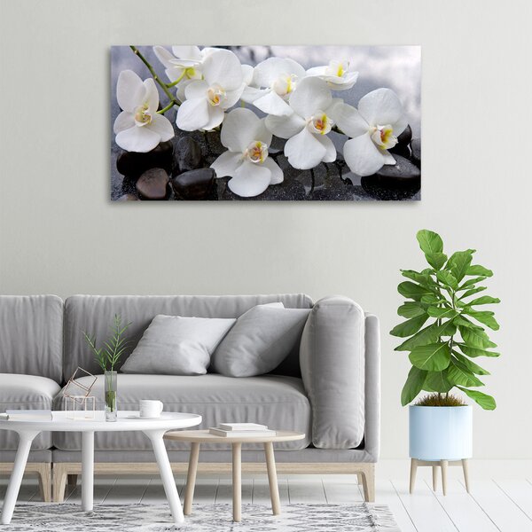 Foto obraz na plátně Orchidej oc-143985624