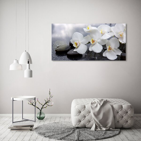 Foto obraz na plátně Orchidej oc-144310520
