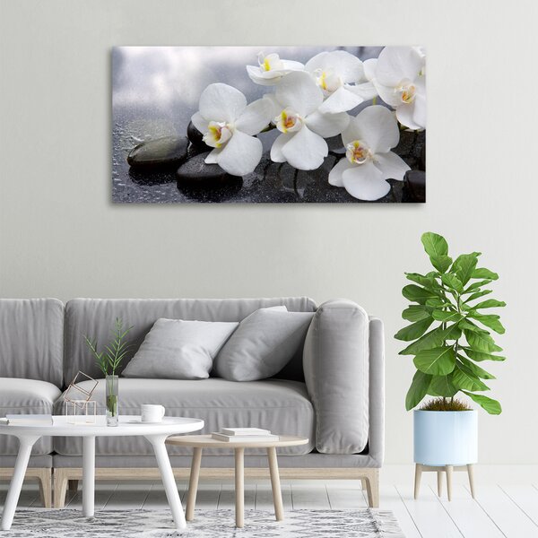 Foto obraz na plátně Orchidej oc-144310520