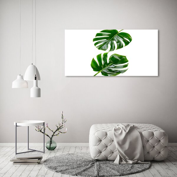 Moderní obraz canvas na rámu Tropické listí oc-145760830