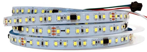 Digitální LED pásek jednobarevný, 14W/m, 24VDC, 12,5cm modul, 10mm, IP20 Barva světla: Modrá