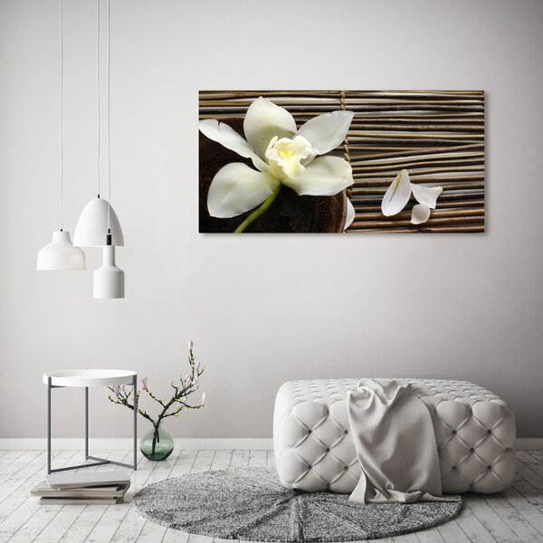 Foto obraz canvas Orchidej oc-14760003