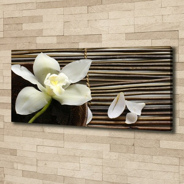 Foto obraz canvas Orchidej oc-14760003