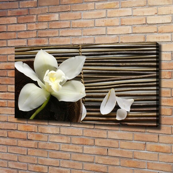 Foto obraz canvas Orchidej oc-14760003