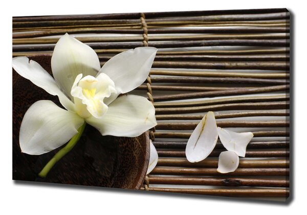 Foto obraz canvas Orchidej oc-14760003