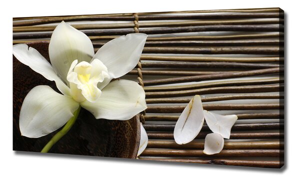 Foto obraz canvas Orchidej oc-14760003