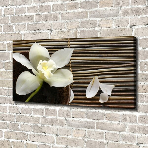 Foto obraz canvas Orchidej oc-14760003