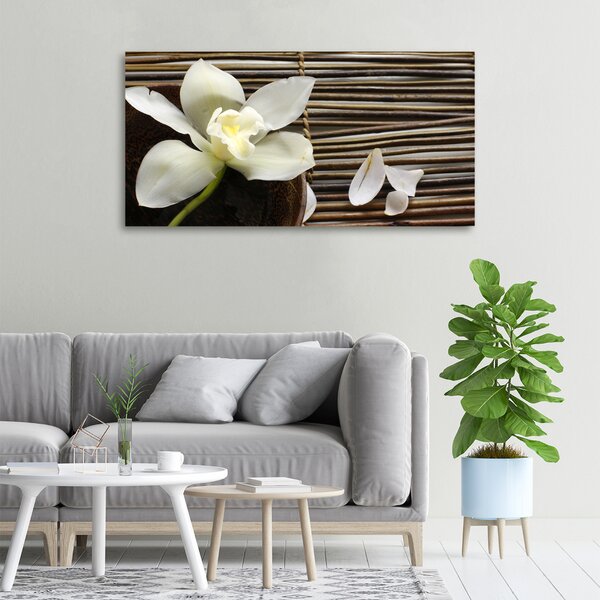 Foto obraz canvas Orchidej oc-14760003