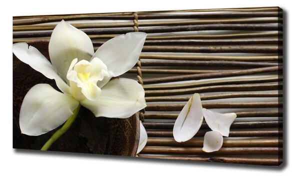 Foto obraz canvas Orchidej oc-14760003