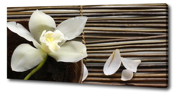 Foto obraz canvas Orchidej oc-14760003