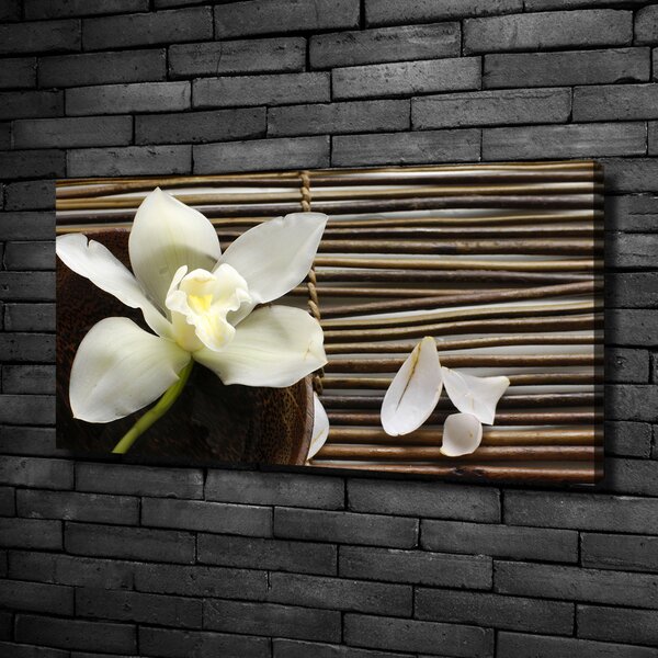 Foto obraz canvas Orchidej oc-14760003