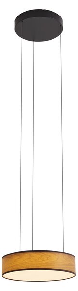 Moderní závěsná lampa černá s dekorem ořechového dřeva vč. LED 3-stupňové stmívání Easylift - Drew