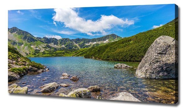 Foto obraz na plátně Údolí Tatry oc-162291569