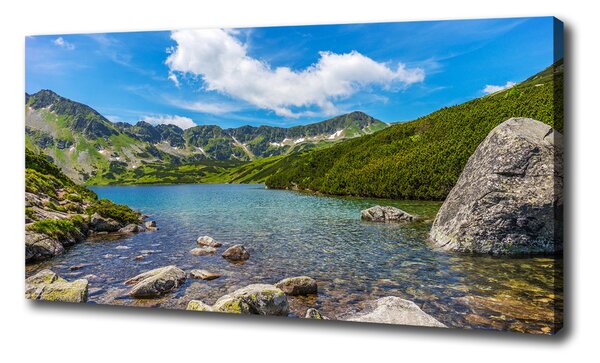 Foto obraz na plátně Údolí Tatry oc-162291569