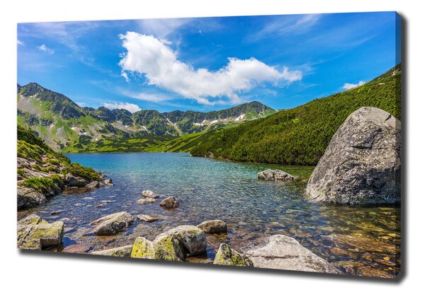 Foto obraz na plátně Údolí Tatry oc-162291569