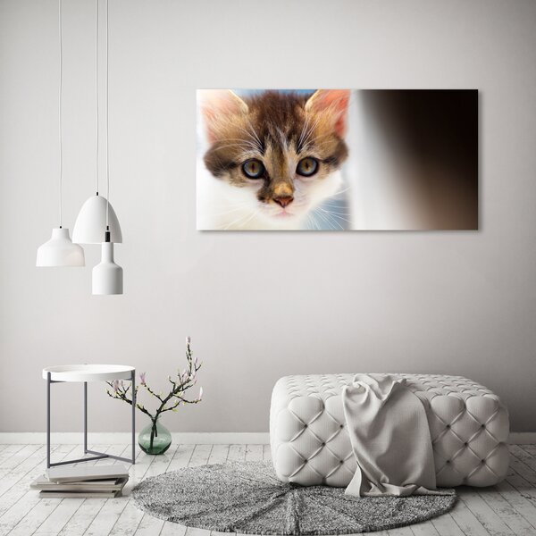 Foto obraz canvas Malá kočka oc-162385240
