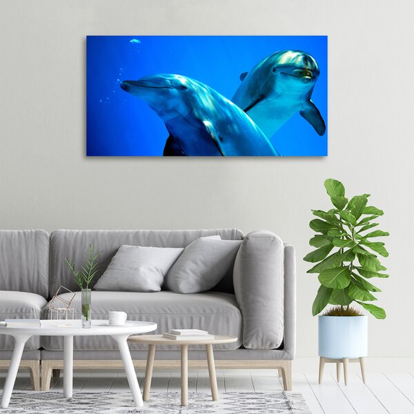 Moderní fotoobraz canvas na rámu Dva delfíni oc-16277956