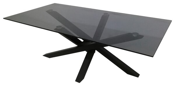 KONFERENČNÍ STOLEK, šedá, černá, kov, sklo, 120/60/45 cm Xora - Konferenční stolky
