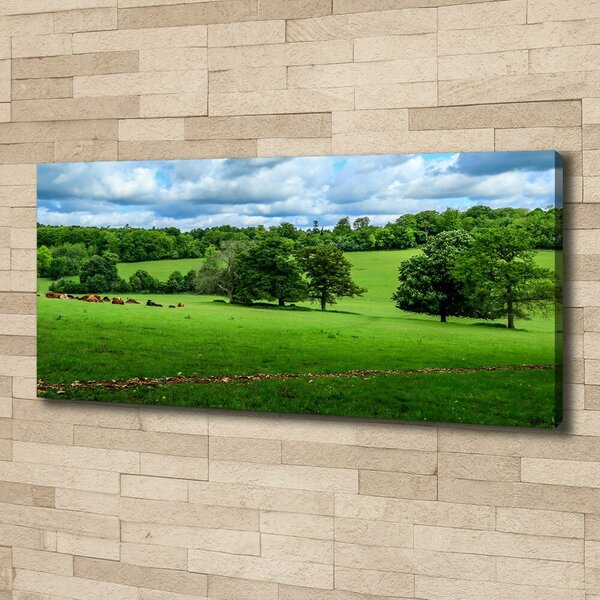 Foto obraz na plátně do obýváku Zelené pahorky oc-169228347