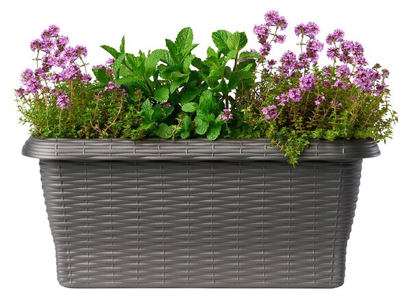 BAMA PAGLIA 40 cm, antracit, plastový truhlík