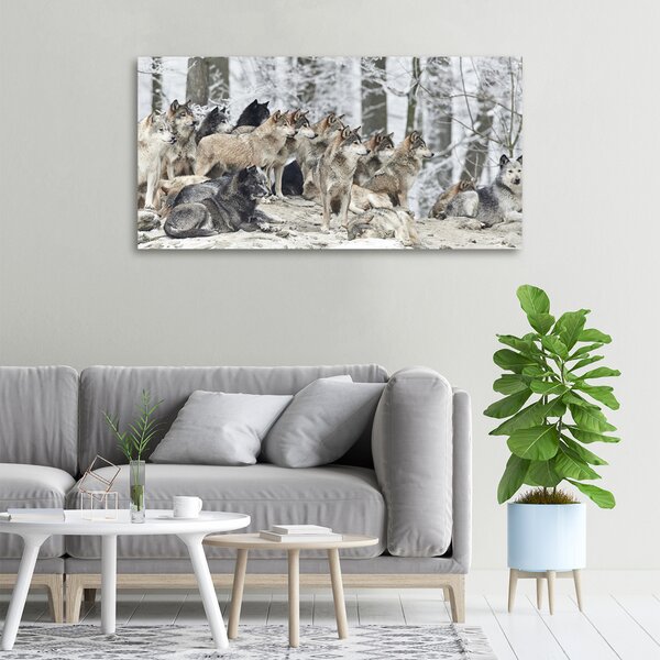 Moderní obraz canvas na rámu Vlci a zima oc-171243935