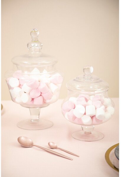 Skleněná dóza na sušenky Olivia – Premier Housewares