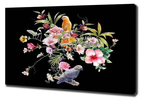 Foto obraz na plátně Květiny a ptáci oc-172830209