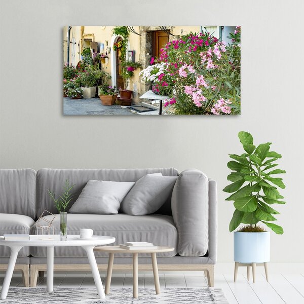 Foto obraz canvas Uličky Francie oc-175586222