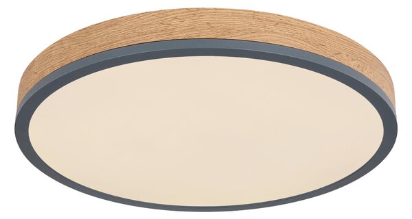 STROPNÍ LED SVÍTIDLO, 45/8,5 cm Novel - Stropní svítidla