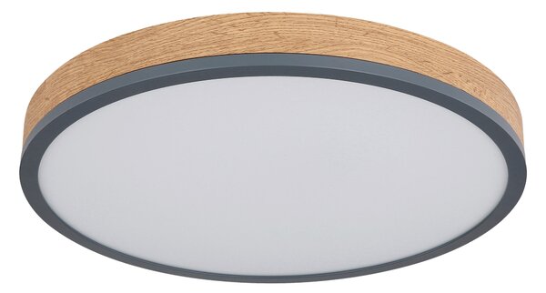 STROPNÍ LED SVÍTIDLO, 45/8,5 cm Novel - Stropní svítidla