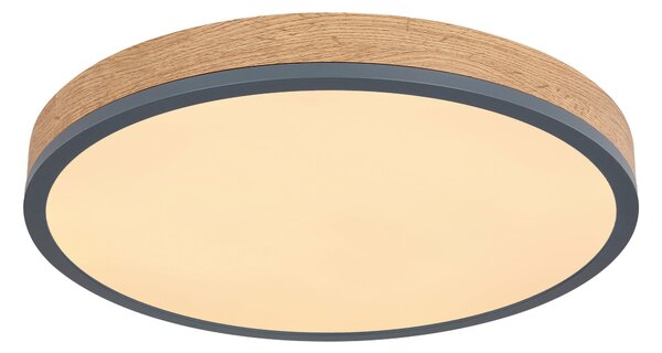 STROPNÍ LED SVÍTIDLO, 45/8,5 cm Novel - Stropní svítidla