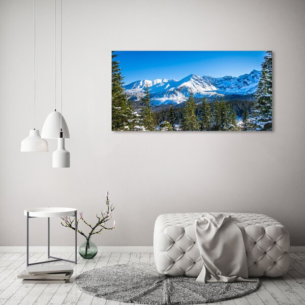 Foto obraz skleněný horizontální Panorama Tater osh-181484516