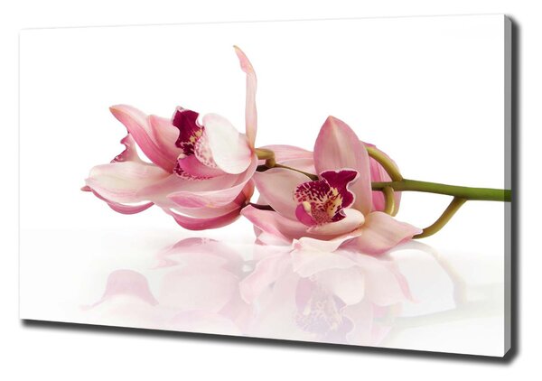 Foto obraz na plátně do obýváku Orchidej oc-18886978