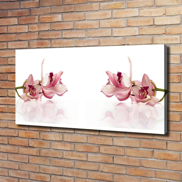 Foto obraz na plátně do obýváku Orchidej oc-18886978