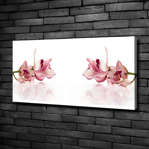 Foto obraz na plátně do obýváku Orchidej oc-18886978