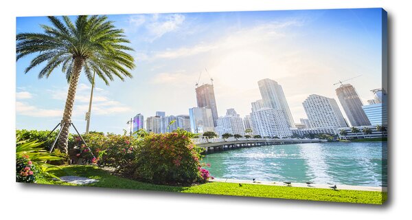 Foto obraz tištěný na plátně Miami USA oc-189099838