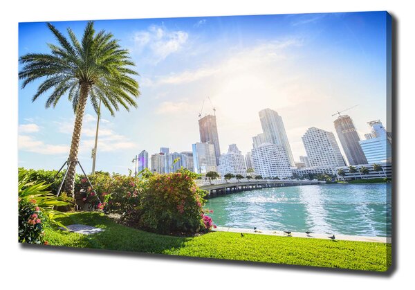 Foto obraz tištěný na plátně Miami USA oc-189099838