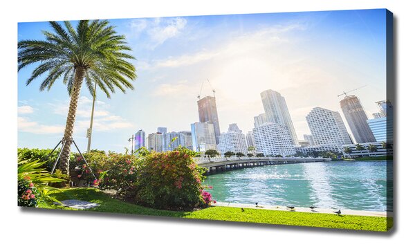 Foto obraz tištěný na plátně Miami USA oc-189099838