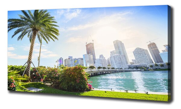 Foto obraz tištěný na plátně Miami USA oc-189099838