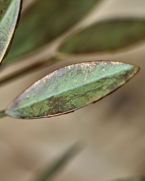 Kovový svícen Leaves Antique Green